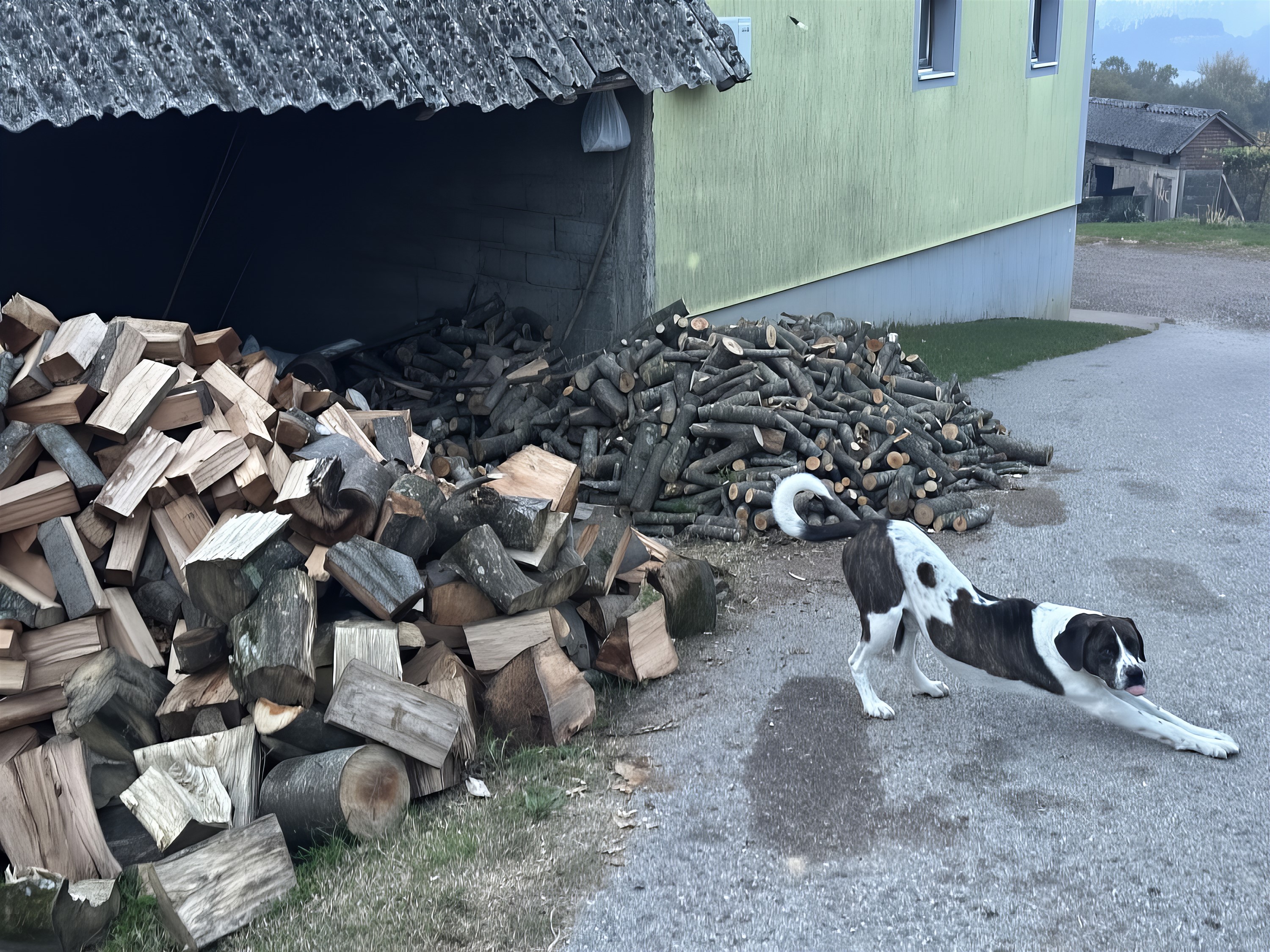 Seoske svakodnevice